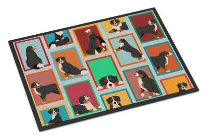 Lots of Bernese Mountain Dog Doormat Front Door Mat Indoor Outdoor Rugs for Entryway, Non Slip Washable Low Pile, 24H X 36W