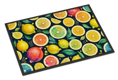 Colorful Lemons Doormat Front Door Mat Indoor Outdoor Rugs for Entryway, Non Slip Washable Low Pile, 24H X 36W (Default: Default)