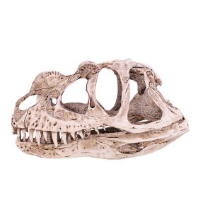 Resin Dinosaur Skull Model Simulated Animal Skeleton Home Office Decor Craft Teaching Prop (Option: as picture)